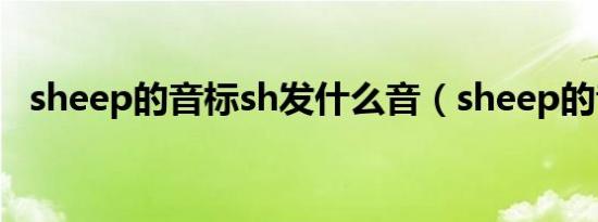 sheep的音标sh发什么音（sheep的音标）