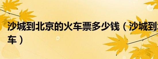 沙城到北京的火车票多少钱（沙城到北京的火车）