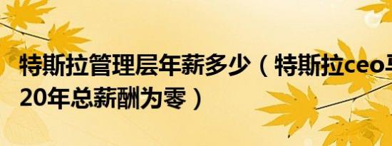 特斯拉管理层年薪多少（特斯拉ceo马斯克2020年总薪酬为零）