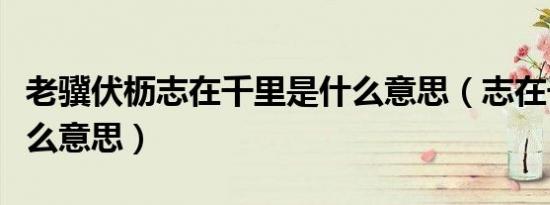 老骥伏枥志在千里是什么意思（志在千里是什么意思）