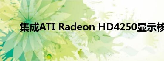 集成ATI Radeon HD4250显示核心