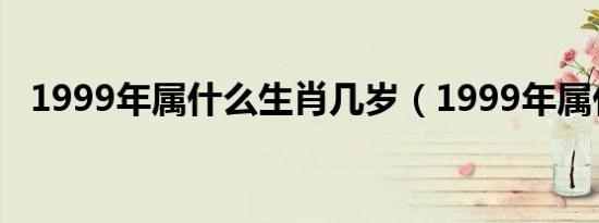 1999年属什么生肖几岁（1999年属什么）