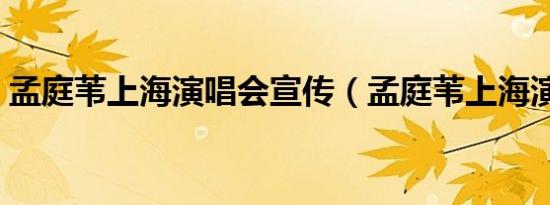 孟庭苇上海演唱会宣传（孟庭苇上海演唱会）