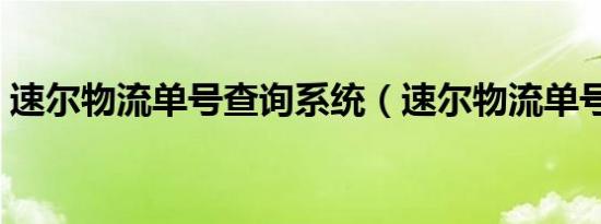 速尔物流单号查询系统（速尔物流单号查询）