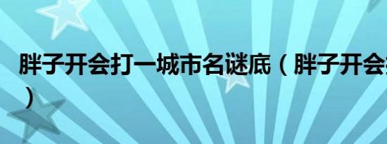 胖子开会打一城市名谜底（胖子开会打一城市）