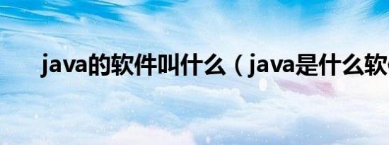 java的软件叫什么（java是什么软件）