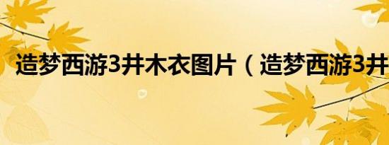 造梦西游3井木衣图片（造梦西游3井木衣）