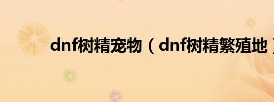 dnf树精宠物（dnf树精繁殖地）