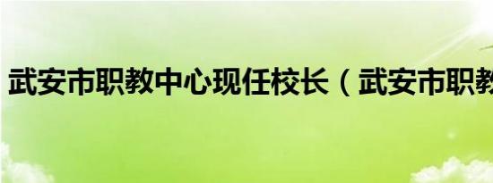 武安市职教中心现任校长（武安市职教中心）