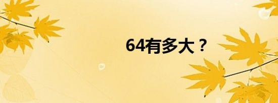 64有多大？