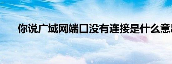 你说广域网端口没有连接是什么意思？