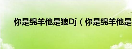 你是绵羊他是狼Dj（你是绵羊他是狼）