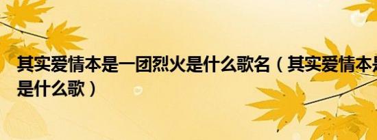 其实爱情本是一团烈火是什么歌名（其实爱情本是一团烈火是什么歌）