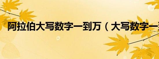 阿拉伯大写数字一到万（大写数字一到万）