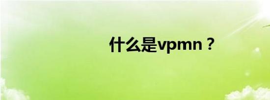 什么是vpmn？