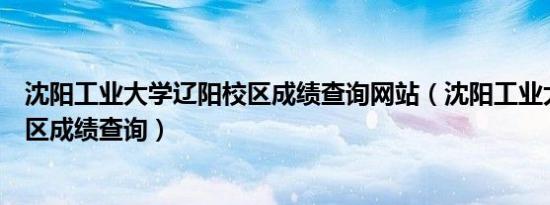 沈阳工业大学辽阳校区成绩查询网站（沈阳工业大学辽阳校区成绩查询）