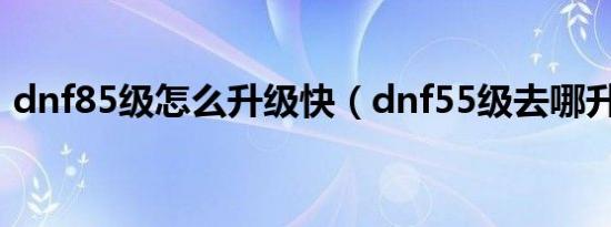 dnf85级怎么升级快（dnf55级去哪升级快）