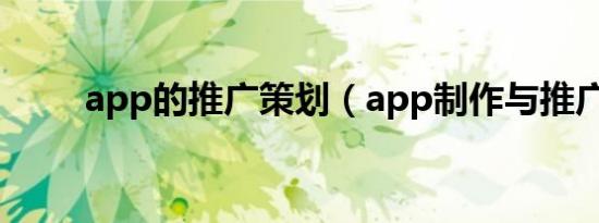 app的推广策划（app制作与推广）