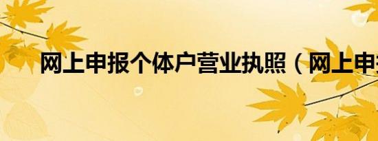 网上申报个体户营业执照（网上申报）