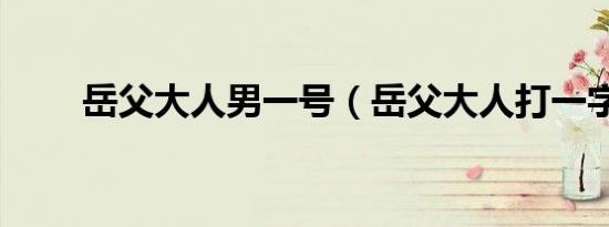 岳父大人男一号（岳父大人打一字）