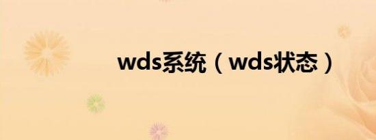 wds系统（wds状态）