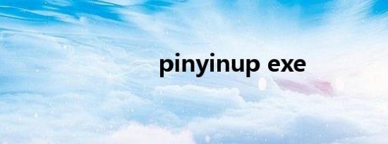 pinyinup exe