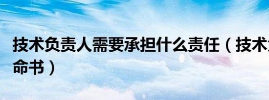 技术负责人需要承担什么责任（技术负责人任命书）