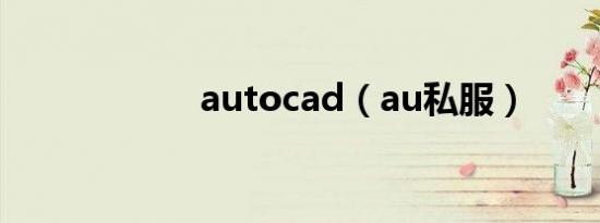 autocad（au私服）