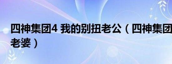 四神集团4 我的别扭老公（四神集团4家养小老婆）