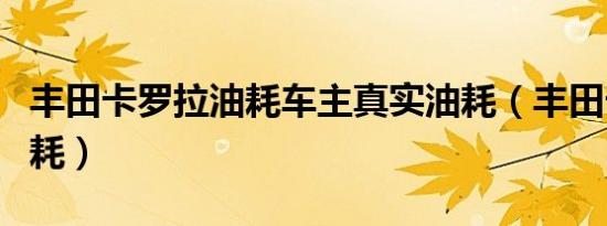 丰田卡罗拉油耗车主真实油耗（丰田卡罗拉油耗）