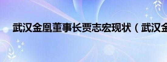 武汉金凰董事长贾志宏现状（武汉金凰）