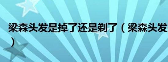 梁森头发是掉了还是剃了（梁森头发是掉光的）