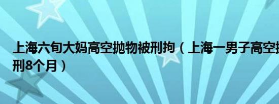 上海六旬大妈高空抛物被刑拘（上海一男子高空抛垃圾袋获刑8个月）