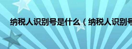 纳税人识别号是什么（纳税人识别号是）