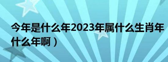 今年是什么年2023年属什么生肖年（今年是什么年啊）