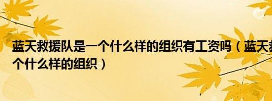 蓝天救援队是一个什么样的组织有工资吗（蓝天救援队是一个什么样的组织）