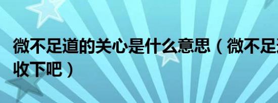 微不足道的关心是什么意思（微不足道的关心收下吧）