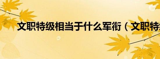 文职特级相当于什么军衔（文职特级）