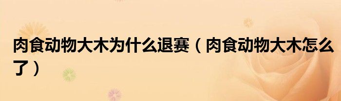 三角组合折纸动物_漫才组合肉食动物_漫威未来之战幻视组合