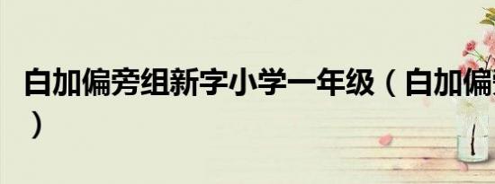 白加偏旁组新字小学一年级（白加偏旁组新字）