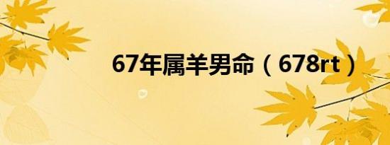 67年属羊男命（678rt）