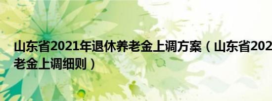 山东省2021年退休养老金上调方案（山东省2021年退休养老金上调细则）