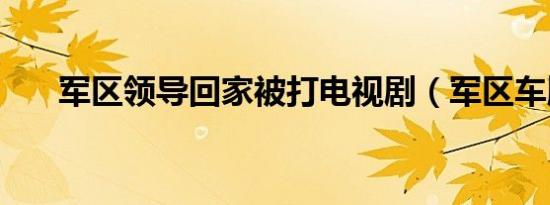 军区领导回家被打电视剧（军区车牌）