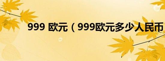 999 欧元（999欧元多少人民币）