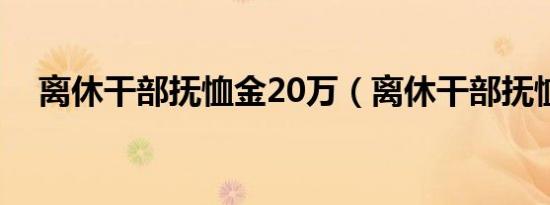 离休干部抚恤金20万（离休干部抚恤金）