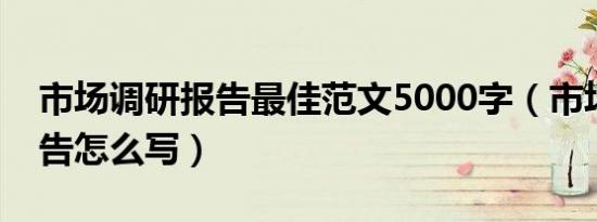 市场调研报告最佳范文5000字（市场调研报告怎么写）