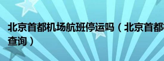 北京首都机场航班停运吗（北京首都机场航班查询）