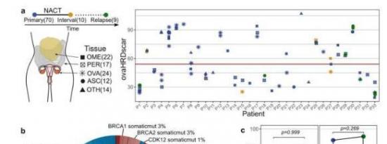 新的基因测试可以改善卵巢癌的治疗