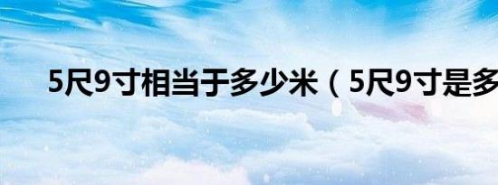 5尺9寸相当于多少米（5尺9寸是多高）