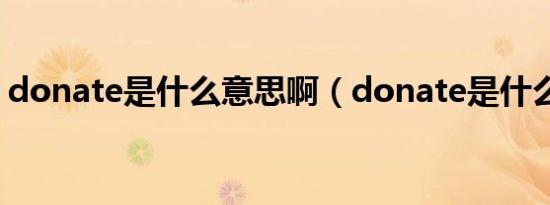 donate是什么意思啊（donate是什么意思）